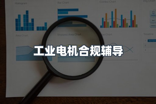 工业电机合规辅导