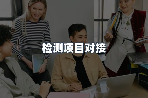 检测项目对接